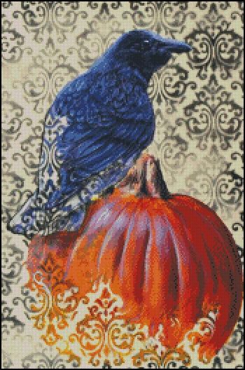 Raven And Pumpkin